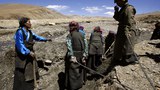 རྒྱ་ནག་གིས་ཞིང་གྲོང་གི་ངལ་རྩོལ་ནུས་ཤུགས་ལྷག་མ་ཕྱོགས་གཞན་སྤོ་བསྒྱུར་ཟེར་བའི་སྲིད་ཇུས།