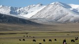 གོ་ལ་སྤྱི་དང་བོད་ཀྱི་གནམ་གཤིས་འགྱུར་ལྡོག