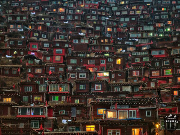 བླ་རུང་སྒར་སྟངས་འཛིན་ཆེད་དམར་ཤོག་ཚོགས་པའི་ཚོགས་མི་ཆེད་འཛུགས།