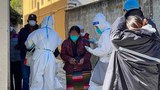 བོད་ནང་གི་ཏོག་དབྱིབས་ནད་ཡམས་གནས་སྟངས།