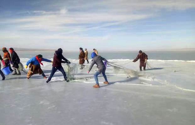 གསེར་ཉ་སྲུང་སྐྱོབས་བྱེད་རྒྱུར་དཀའ་ངལ། གསེར་ཉ་སྲུང་སྐྱོབས་བྱེད་རྒྱུར་དཀའ་ངལ།