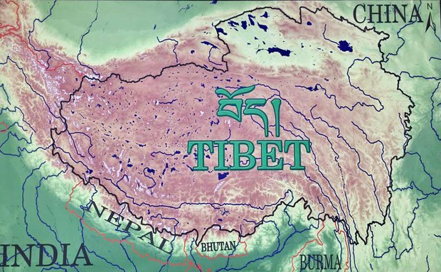 ༡༩༩༠ནས་འགོ་བཙུགས་ཀྱིས་ལོ་ངོ་གསུམ་བཅུ་ཙམ་གྱི་ནང་བོད་ནང་སློབ་གྲྭ་༡༠༨གསར་འཛུགས་གནང་ཡོད་པ།