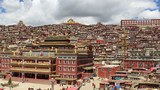 བླ་རུང་ཆོས་སྒར་གྱི་བཙུན་མའི་བཞུགས་ཤག་༣༠༠ལྷག་འཚིགས་ཡོད་པ།