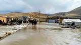 བོད་ནང་རྫ་ཆུ་རྒྱས་པའི་རྐྱེན་གྱིས་སེར་ཤུལ་རྫོང་ཀ་བཞི་ཤང་སོགས་ཀྱི་བོད་མིར་དཀའ་ངལ་འཕྲད་བཞིན་པ།
