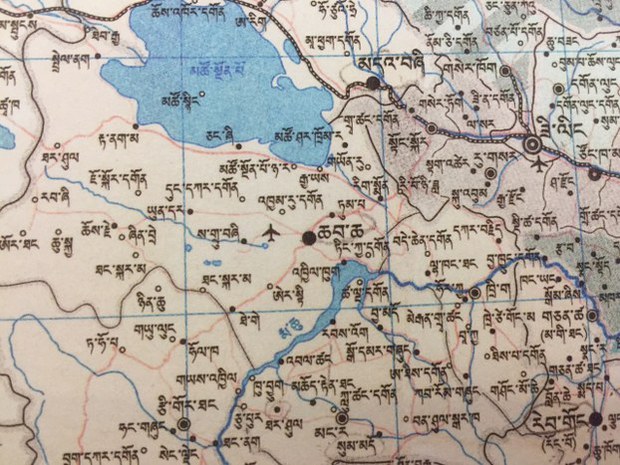 བོད་མདོ་སྨད་མཚོ་སྔོན་པོའི་འགྲམ་དུ་ཁ་བ་ཆེན་པོ་བབས་ནས་ཟོག་ལུག་ལ་དཀའ་ངལ་འཕྲད་བཞིན་པ།