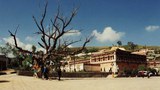 སྐུ་འབུམ་དགོན་པའི་མེ་ཏོག་མཆོད་པ།