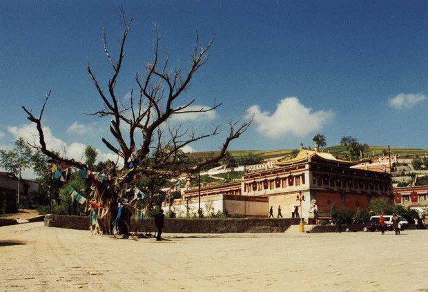 སྐུ་འབུམ་དགོན་པའི་མེ་ཏོག་མཆོད་པ།