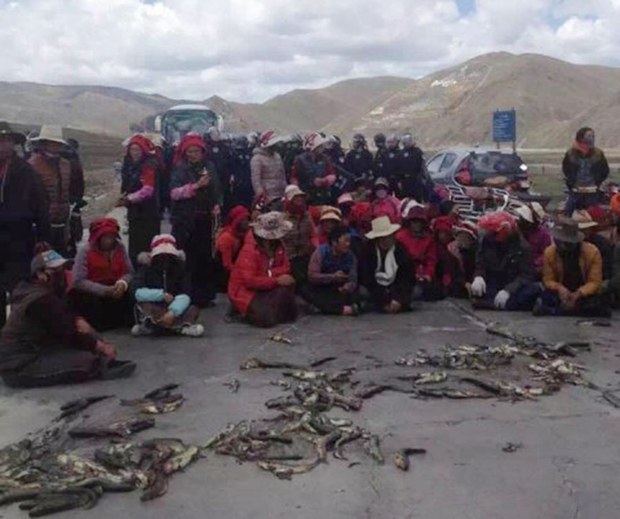 གཏེར་ཁ་སྔོག་འདོན་གྱིས་བོད་ཀྱི་ཁོར་ཡུག་ལ་གནོད་སྐྱོན་བཟོས་པ། གཏེར་ཁ་སྔོག་འདོན་གྱིས་བོད་ཀྱི་ཁོར་ཡུག་ལ་གནོད་སྐྱོན་བཟོས་པ།
