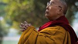 ཏཱ་ལའི་རུ་ཚོགས་ལ་རྡུང་རྡེག
