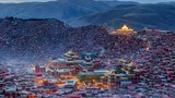 གསེར་རྟ་བླ་རུང་སྒར་དུ་དམ་བསྒྲགས།