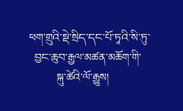 ཕག་གྲུའི་སྡེ་སྲིད་དང་པོ་ཏཱའི་སི་ཏུ་བྱང་ཆུབ་རྒྱལ་མཚན་གྱི་སྐུ་ཚེའི་ལོ་རྒྱུས། ཕག་གྲུའི་སྡེ་སྲིད་དང་པོ་ཏཱའི་སི་ཏུ་བྱང་ཆུབ་རྒྱལ་མཚན་གྱི་སྐུ་ཚེའི་ལོ་རྒྱུས།