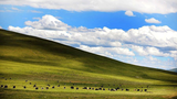 རྩྭ་སའི་རྩོད་རྙོག་རྐྱེན་པས་འཁྲུག་རྩོད།