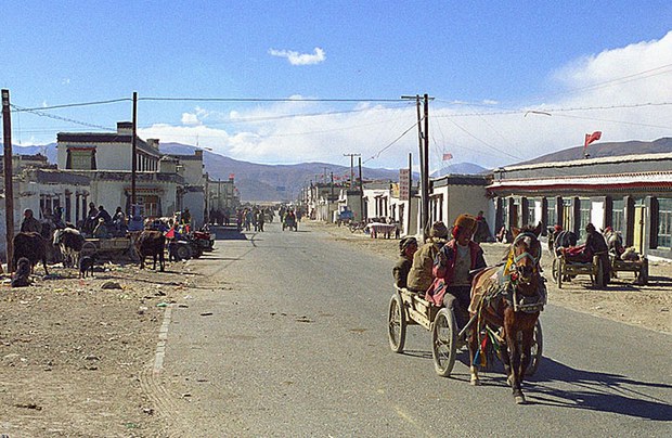 བོད་ནང་རྒྱ་རིགས་མུ་མཐུད་ནས་གནས་སྤོ་བྱེད་བཞིན་པ།