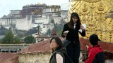 བོད་ནང་ཡུལ་སྐོར་སྤྲོ་འཆམ་པའི་རྐྱེན་ཀྱིས་ཁོར་ཡུག་ལ་གནོད་སྐྱོན།