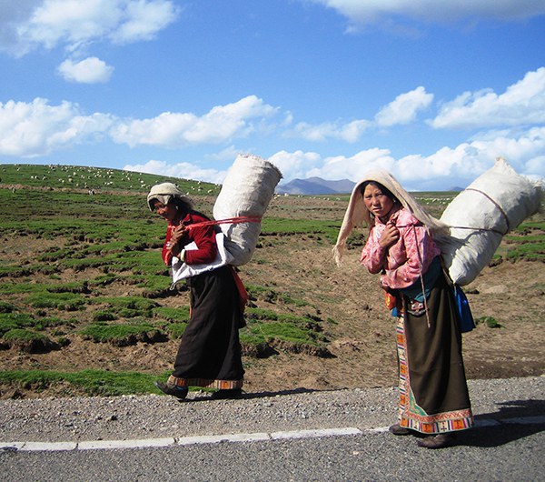 བོད་ནང་ཞིང་འབྲོག་ཁུལ་ཏུ་བུད་མེད་ཚོར་རང་དབང་མེད་པའི་དཀའ་ངལ། བོད་ནང་ཞིང་འབྲོག་ཁུལ་ཏུ་བུད་མེད་ཚོར་རང་དབང་མེད་པའི་དཀའ་ངལ།