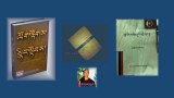 ཚ་བ་མདའ་སྨྱུག་གར་སོང་ཆ་མེད་དུ་གྱུར་ནས་ལོ་དགུ་སོང་།