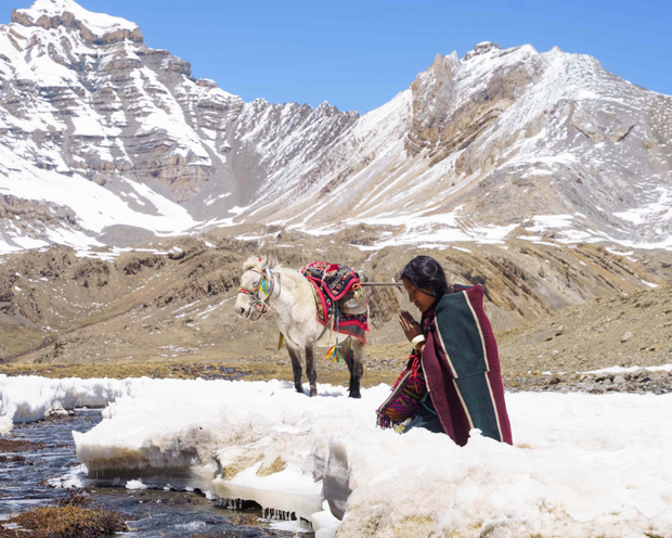 བལ་པོའོ་གློག་བརྙན་ཤམ་བྷ་ལ་ཟེར་བ་ནི་ལྦར་ལིན་གློག་བརྙན་དུས་སྟོན་གྱི་འགྲན་སྡུར་ནང་འདེམ་སྒྲུག་བྱེད་ཡོད་པ། བལ་པོའོ་གློག་བརྙན་ཤམ་བྷ་ལ་ཟེར་བ་ནི་ལྦར་ལིན་གློག་བརྙན་དུས་སྟོན་གྱི་འགྲན་སྡུར་ནང་འདེམ་སྒྲུག་བྱེད་ཡོད་པ།