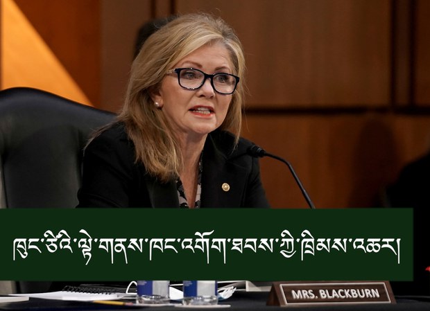 རྒྱ་ནག་གི་ཁུང་ཙིའི་ལྟ་གྲུབ་ཨ་རིའི་ནང་སྤེལ་རྒྱུར་འགོག་ཐབས་ཀྱི་ཁྲིམས་འཆར་ཡིན།