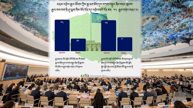 མཉམ་འབྲེལ་རྒྱལ་ཚོགས་སུ་བོད་དོན་གླེང་པ།