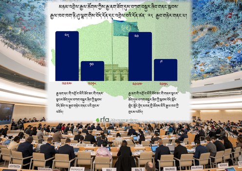 མཉམ་འབྲེལ་རྒྱལ་ཚོགས་སུ་བོད་དོན་གླེང་པ།