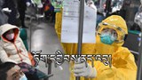 ཏོག་དབྱིབས་ནད་དུག་འདི་རྒྱལ་ཁབ་དང་། སྤྱི་ཚོགས། མི་སྒེར་བཅས་ནས་འགོག་ཐབས་བྱེད་དགོས།